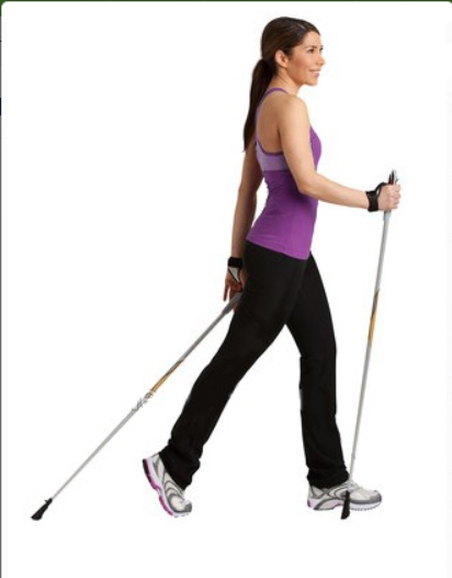 Трость - для "скандинавской" ходьбы Si-02  фото 1